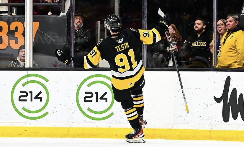 🗣️Eligible for the <a href="/NHL/">NHL</a> draft this year and ranked #143 by NHL Central Scouting for North American skaters, Luca Testa thrived with the Falcons before taking the step into the OHL.  

#LetsGoFalcs | #StCatharinesFalcons | #GOJHL