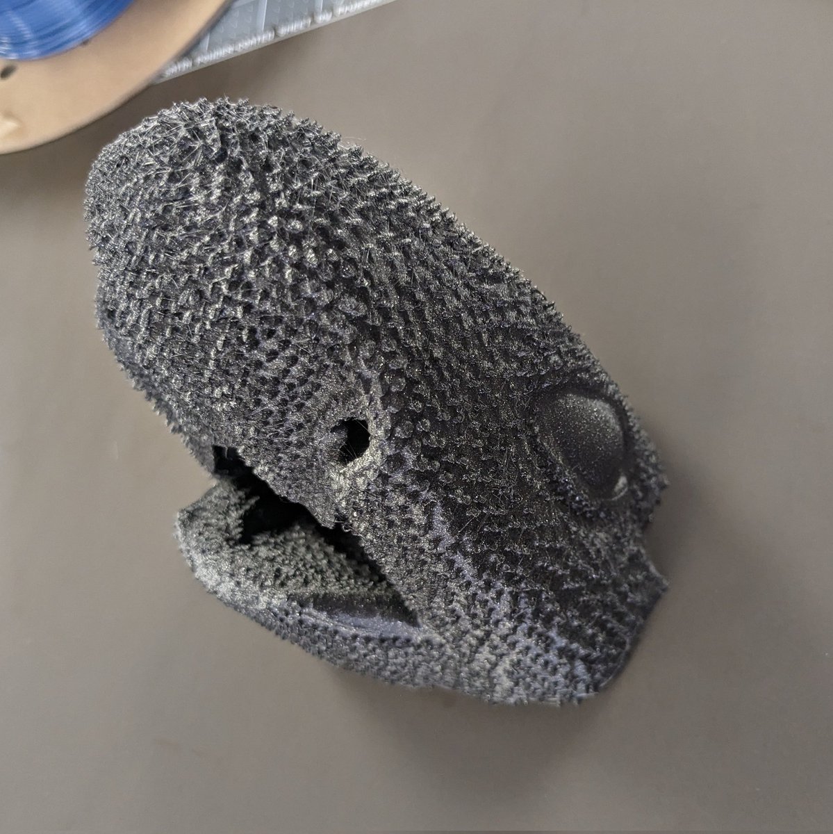 We 3D-printed the entire head of an embryo catshark (Scyliorhinus canicula) - complete with its skin-teeth, at the MakerSpace @uflib! Printed at 300% this is way larger than the adult head! 🔥 #shark #3D #3Dprinted 🦈🦈🦈