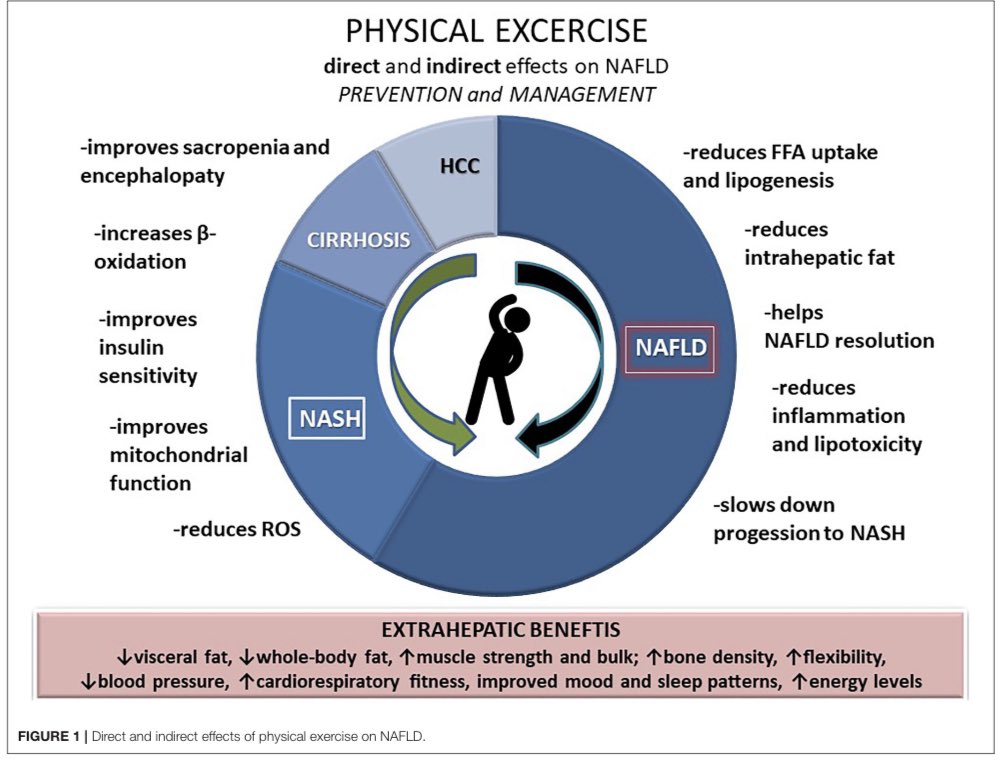 LiverHealthPOD tweet media