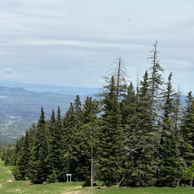 RunoL23's tweet image. #NewProfilePic