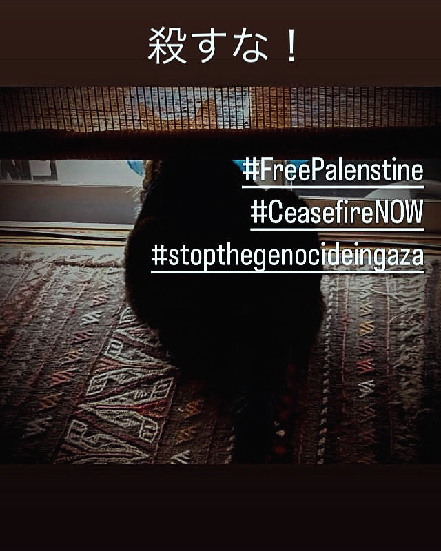 #FreePalenstine
#CeasefireNOW
#stopthegenocideingaza