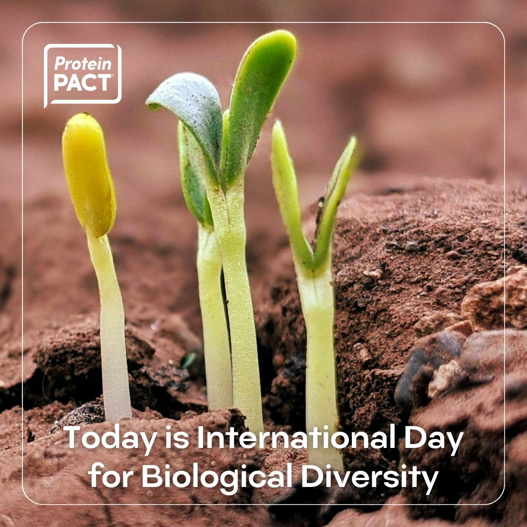 Today is International Day for Biological Diversity! Maximizing biodiversity is among @USDA's principles for soil health - for example through planting cover crops, using diverse crop rotations, and integrating livestock. buff.ly/4555kXm