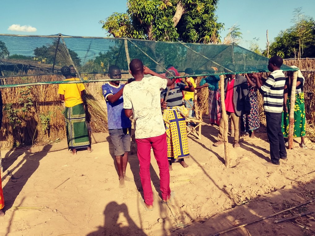 AcdivocaMZ's tweet photo. Parceiros do FTF RESINA; o SDAE e Agro-Insumos construíram sombrites em Ribaué e Mecuburi. Objectivo: sensibilizar e mobilizar a comunidade para produzir horticulturas durante todo o ano e ainda promover a comercialização para os agregados circunvizinhos.
#FTFRESINA 
#Sombrites https://t.co/YkpOFmO69k