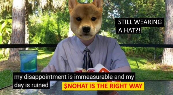 Chef 0xKitty 😸🎮🕶️ tweet media