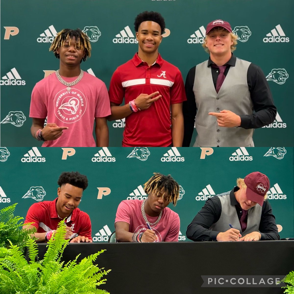 Coach Argo (@thepelhamwaytf) on Twitter photo <a href="/ThePelhamWaySOC/">Pelham Panther Athletics Social Media</a> <a href="/ThePelhamWayAD/">Trey Simpson</a> <a href="/Coachspringfiel/">Marty Springfield</a> <a href="/dadams1981/">David Adams</a> <a href="/CyndiMason2411/">Cyndi Mason</a> <a href="/Tymason112/">Tyler Mason</a> <a href="/willmcgoughh/">William McGough III ✞</a> So incredibly proud of Jaydon Hayes, Will McGough & Tyler Mason!
🐏GO RAMS!
🐘ROLL TIDE!
🐶HAIL STATE! <a href="/ThePelhamWaySOC/">Pelham Panther Athletics Social Media</a> <a href="/ThePelhamWayAD/">Trey Simpson</a> <a href="/Coachspringfiel/">Marty Springfield</a> <a href="/dadams1981/">David Adams</a> <a href="/CyndiMason2411/">Cyndi Mason</a> <a href="/Tymason112/">Tyler Mason</a> <a href="/willmcgoughh/">William McGough III ✞</a> So incredibly proud of Jaydon Hayes, Will McGough & Tyler Mason!
🐏GO RAMS!
🐘ROLL TIDE!
🐶HAIL STATE!