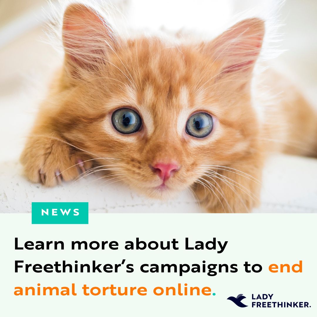 Thank you to Nellie McKay for having Nina Jackel — the founder and president of Lady Freethinker (LFT) — on for an interview about LFT’s campaign to STOP the torture of #cats in China and baby #monkey torture across the globe. Watch the full interview: youtube.com/watch?app=desk…