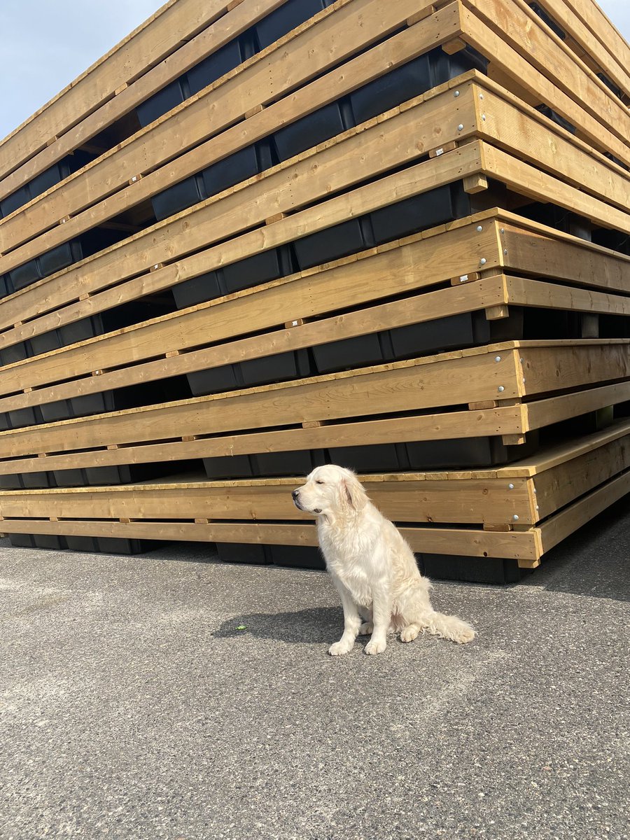 RONAParrySound's tweet image. Timberdocks are ready for delivery. Call today to book yours. #docks #timberdock #muskoka #georgianbay #lakemanitouwabing #pointeaubaril #rosseau #seguin