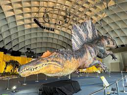 【オダイバ恐竜博覧会2024】

2024年3月～2024年5迄、フジテレビ本社屋で行われていた。

スピノサウルスの復元模型は空中に浮いているが（天井から吊るされている）、
風船的な中に空気が入って軽い物（多分）で新しい見せ方だと思った。