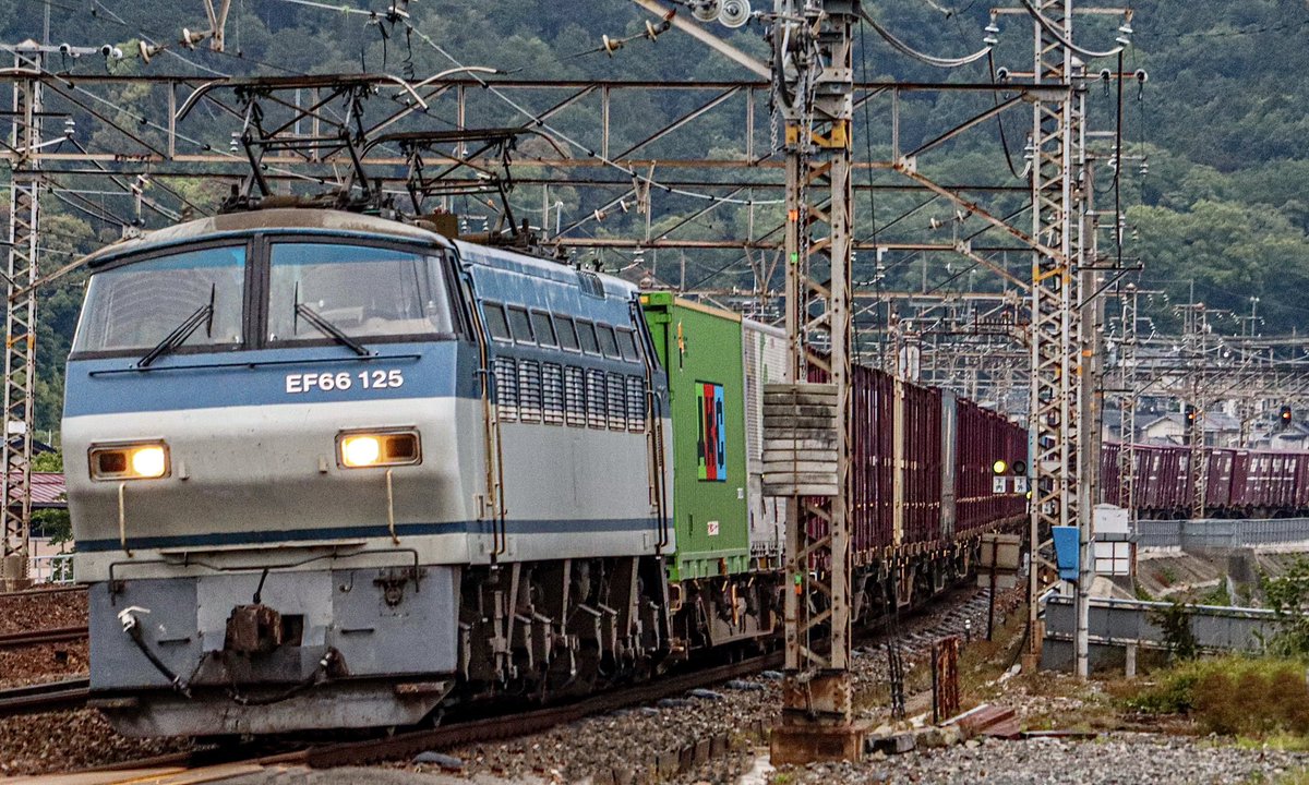 おはようございます😊☁️
#吹田a10運用 #2063レ #EF66125 #EF66 #吹田機関区 #貨物列車 #電気機関車 #おはようトレイン　2024.5.23 am5:15