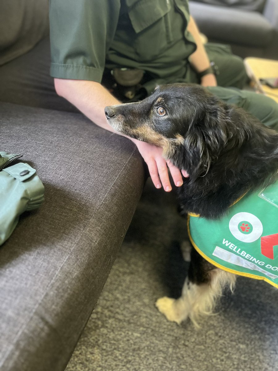Happy little Dill visited Blackwood Station today. 🚑 🐾 Sometimes her calm cwtches share more than words can. She made 16 more friends today, and I took the opportunity to pause & chat; rather than scurrying to open the lap top 😉☺️. @OscarKiloNine @WelshAmbulance @Grifkins