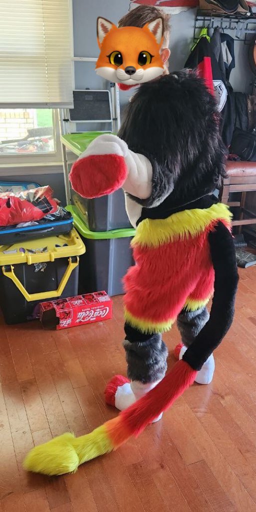 Everest !🦌 tweet media