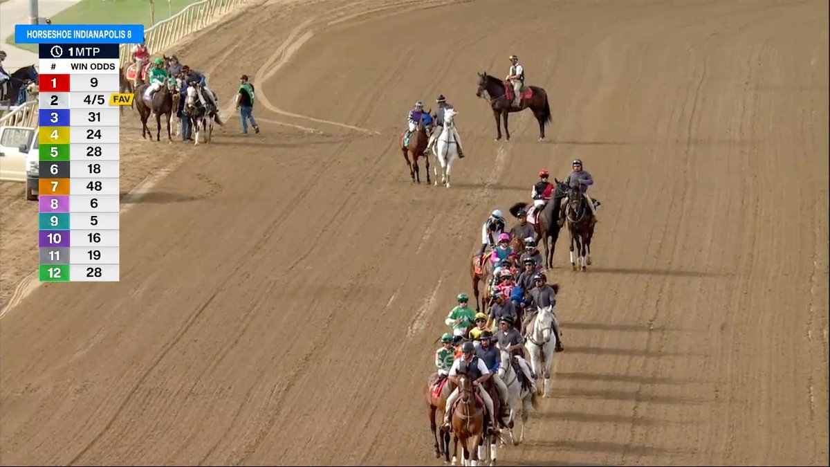 The field is warming up for the 🏆 Sagamore Sired Handicap at @HSIndyRacing. Place your 💵 bets now on @FanDuel Racing. racing.fanduel.com/racetracks/IJN…