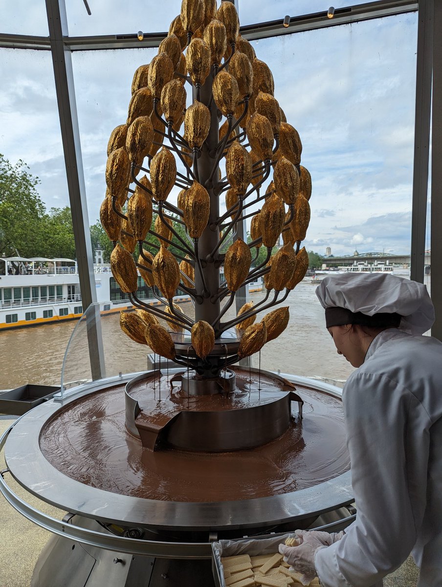 Day 13,another full day! Walked up the 500+ stairs to the top of the Cologne cathedral, saw the belfry and city below. Then did the Lindt chocolate museum on the banks of the Rhine. And finally, got some laps in at a kart track in the netherlands. Im exhausted!