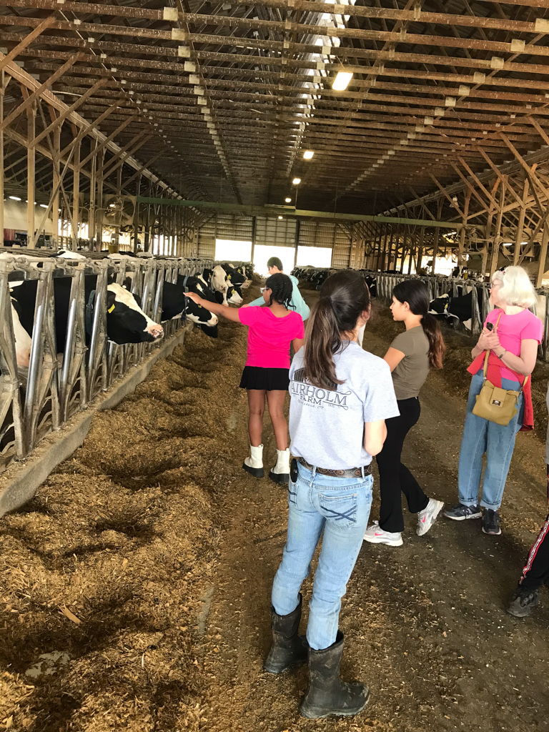 Students traveled to places all across the US for the May Experiential Learning Program. On the World Around Us MELP, students learned about our local natural environment and gained an appreciation of the importance of plants, as well as the need to treat animals humanely.