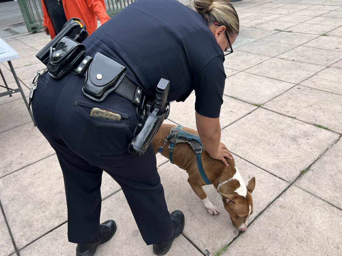 Thanking my Partner Senior Lead Officer Marilyn Guitierez for putting together an awesome Paws in Place outreach event. We saw some really beautiful four legged friends today. Bid shout out to Animal Regulation la for all the great resources provided. <a href="/LAPDHQ/">LAPD HQ</a>