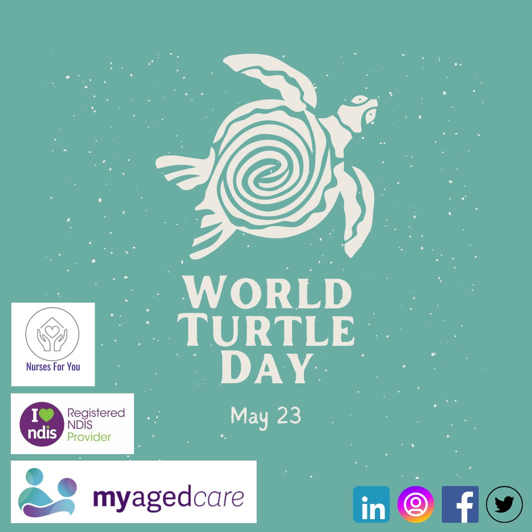 #worldturtleday #DisabilityAwareness #Equality #InclusionMatters #ChoiceandControl #HCP #SelfManaged #AgedCare #AgedCareProvider #Nursesforyou #CentralCoast #NDISProvider