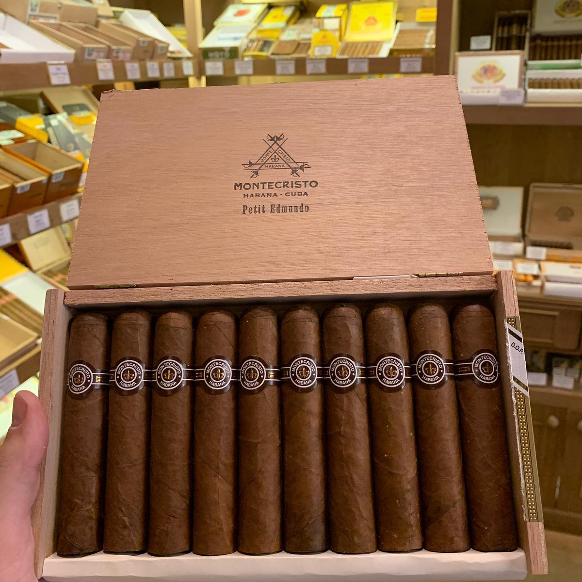 Montecristo Petit edmundo 👍🔥🇨🇺😋