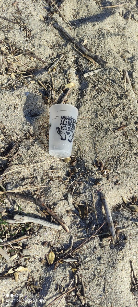 Movimento académico (pouco) ecológico