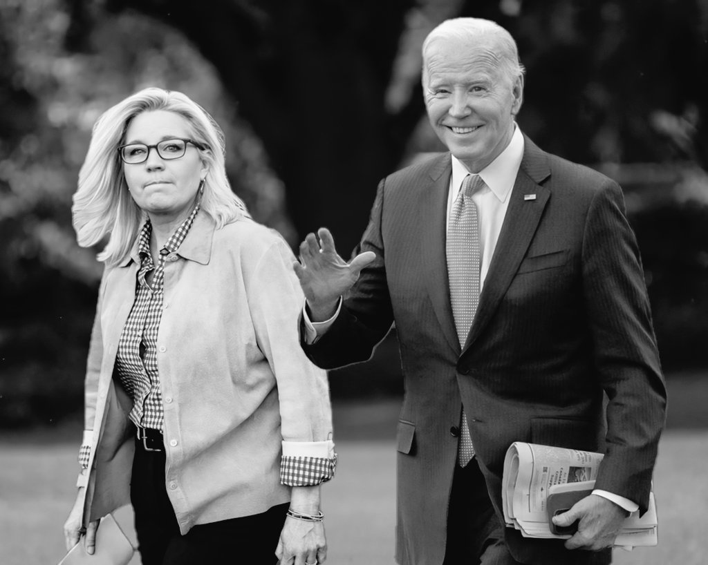 Seeing Niki Haley's self-serving weakness today makes me appreciate Liz Cheney's strong and selfless leadership even more. Liz understands what's at stake—our democracy. And the only way to save it is for Joe Biden to beat Donald Trump in November. #LeadershipMatters