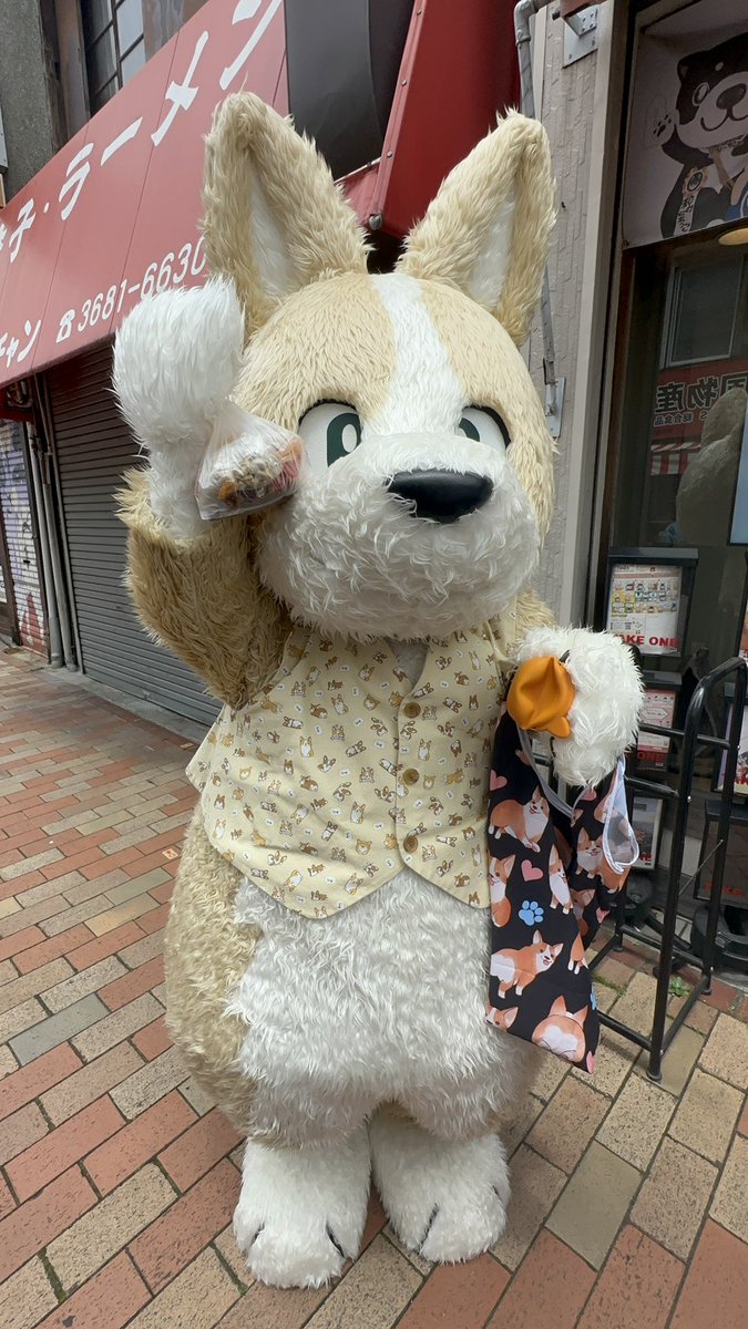 2742256CHARAMEL's tweet photo. ドライフルーツ🍊を真剣な眼差しで選んで、購入するも財布が空っぽになるイッヌ…ドライフルーツ美味しいね〜♡♡
ほっぺた落ちちゃうね〜🍅
#コギこた
#平井
#bmarket
#ドライフルーツ https://t.co/hydHiAiX97