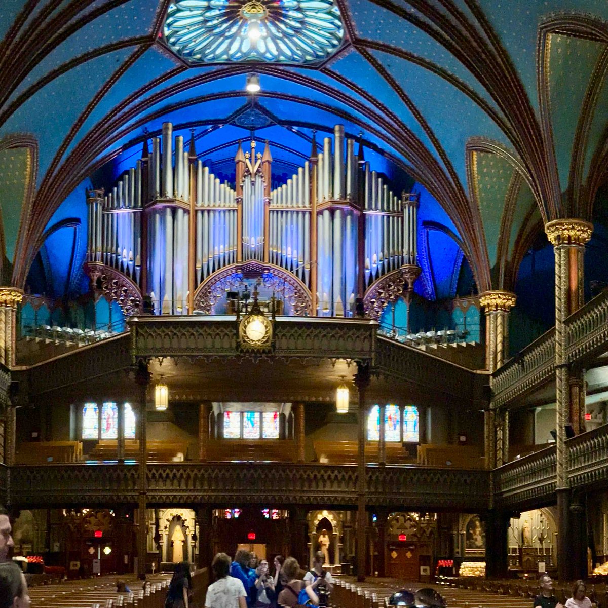 École O.L.P.H. tweet media