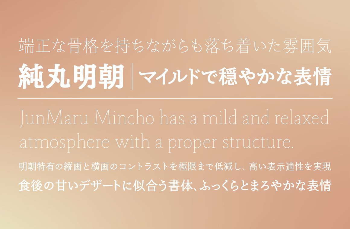 [New Font Release] Type Project released 純丸明朝 (JunMaru Mincho). typecache.com/news/5830/ #typecache