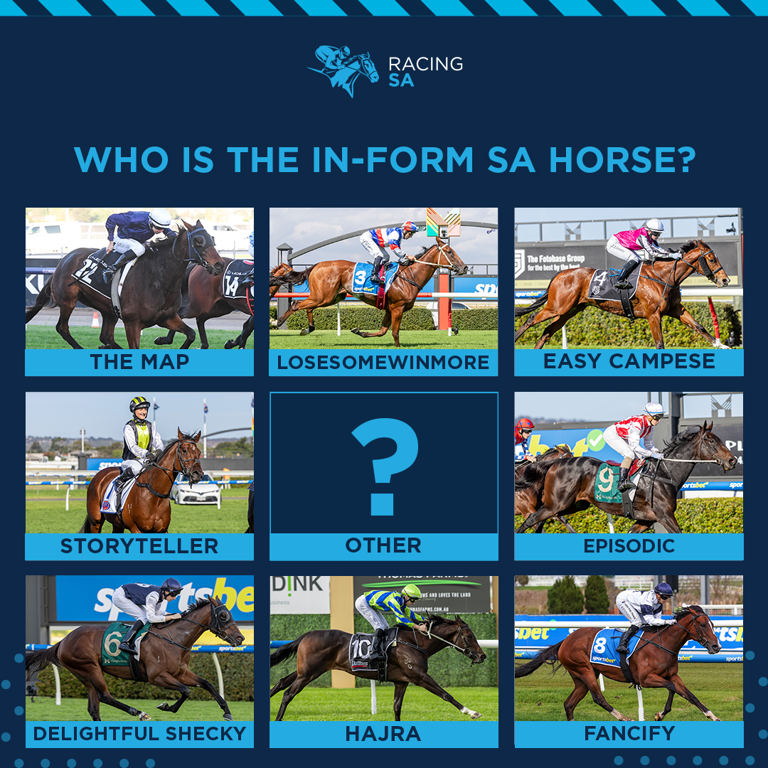 Who is the in-form SA horse right now? 👀
