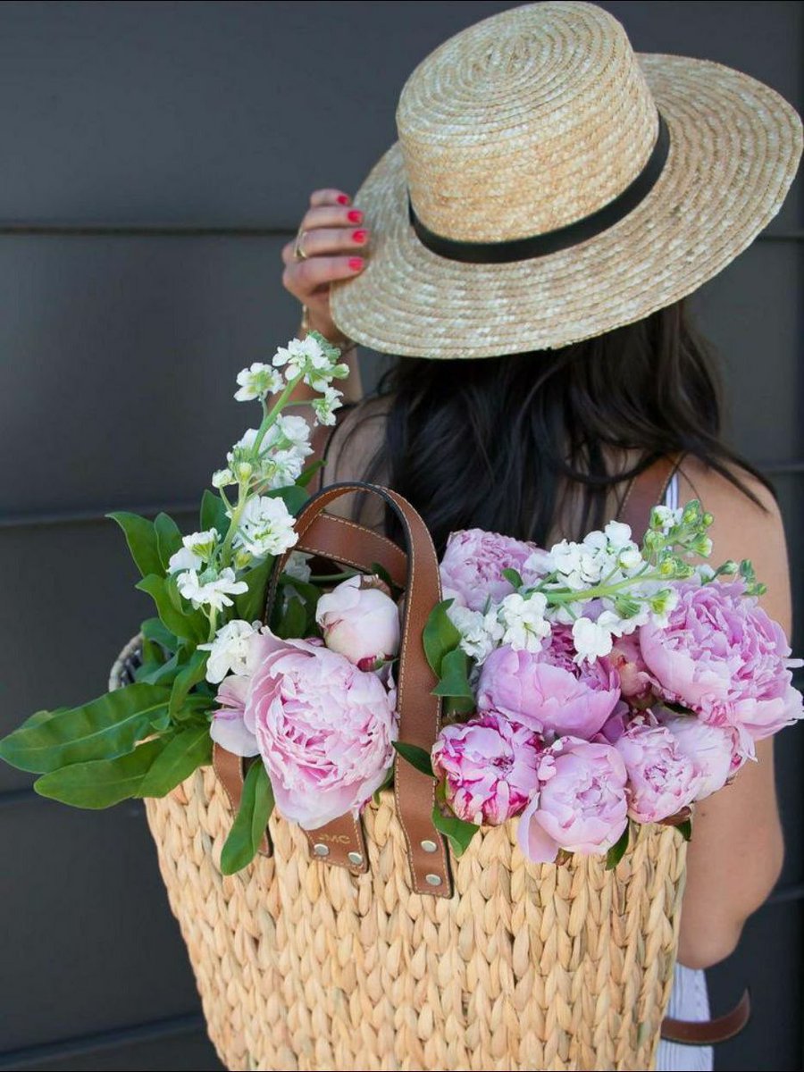 صباح الورد 🌤🍃🌸🍃 .. لمن يزرعون الياسمين في حدائق الروح بمرورهم.. لمن يبدلون الألم 'أمل' ويعيدون الإبتسامةة بكلمة #صباح_الخـــــــير #كلمة_ولو_جبر_خاطر