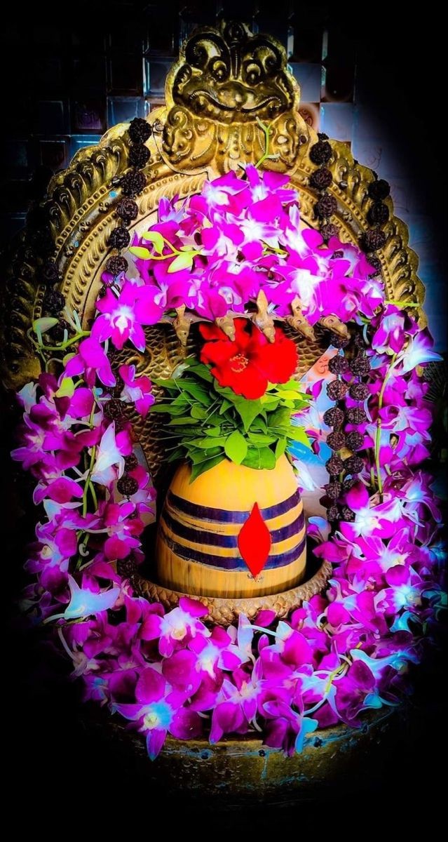 ShubhamSRana's tweet photo. No #Sanatani will pass without liking this post.....❤️
Har Har Mahadev 🚩🙏

#RCBvsRR #Chokli #Hallabol #Chokers #Haarcb #TodayRCB #ViratKohliinIPL Dhobi Happy Retirement DK Congratulations RCB #BuddhaPurnima #GharWapshi #GiftOfFood https://t.co/GxfbtADzSs