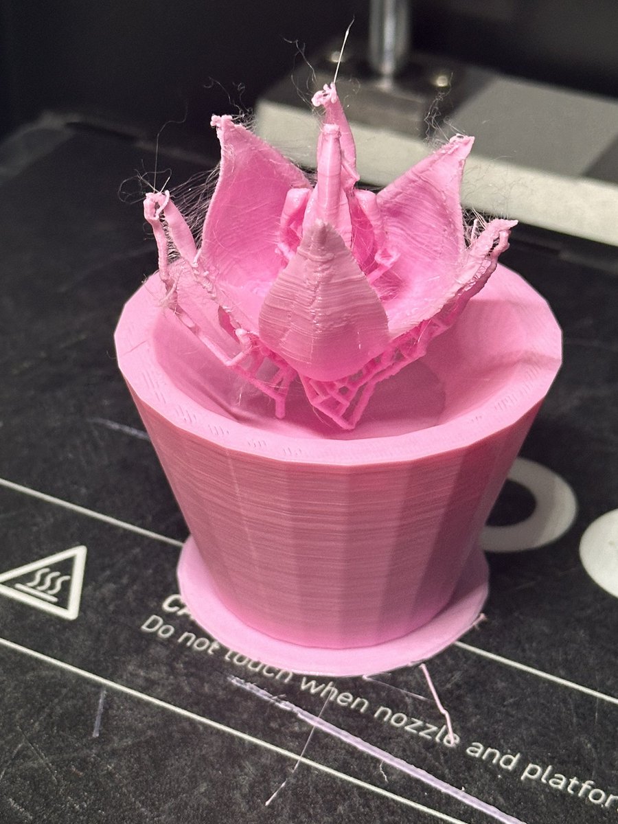 Shobica Wadhwa tweet media