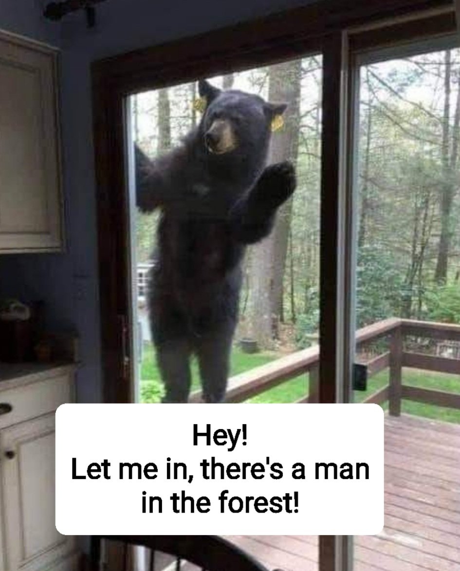 #bear
#ChooseTheBear