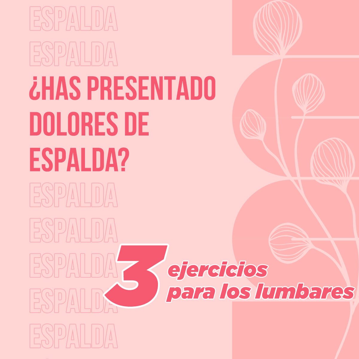 andrew_herrera_'s tweet photo. Uno de los #dolores más #comunes es el dolor de espalda, checa estos #ejercicios para que se pueda #liberar la #tensión en esta área. Recuerda consultar a un especialista. 😉😊
.
#espalda #lumbar https://t.co/7aSfENdcdV