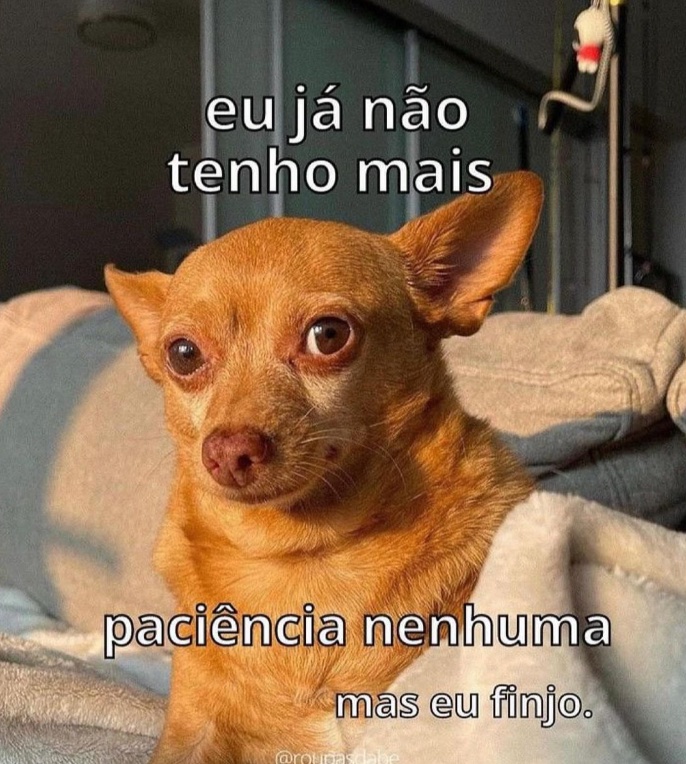 euovitinn's tweet photo. eu https://t.co/1jJJyfJQzr