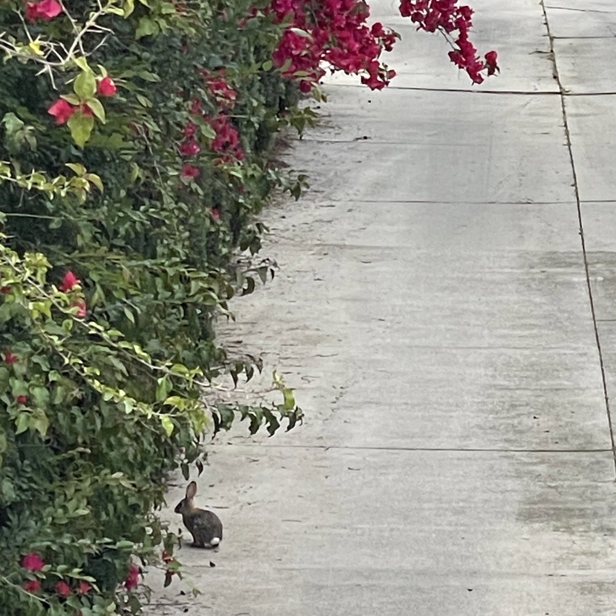 jimisomewhere's tweet image. i live in los angeles now!