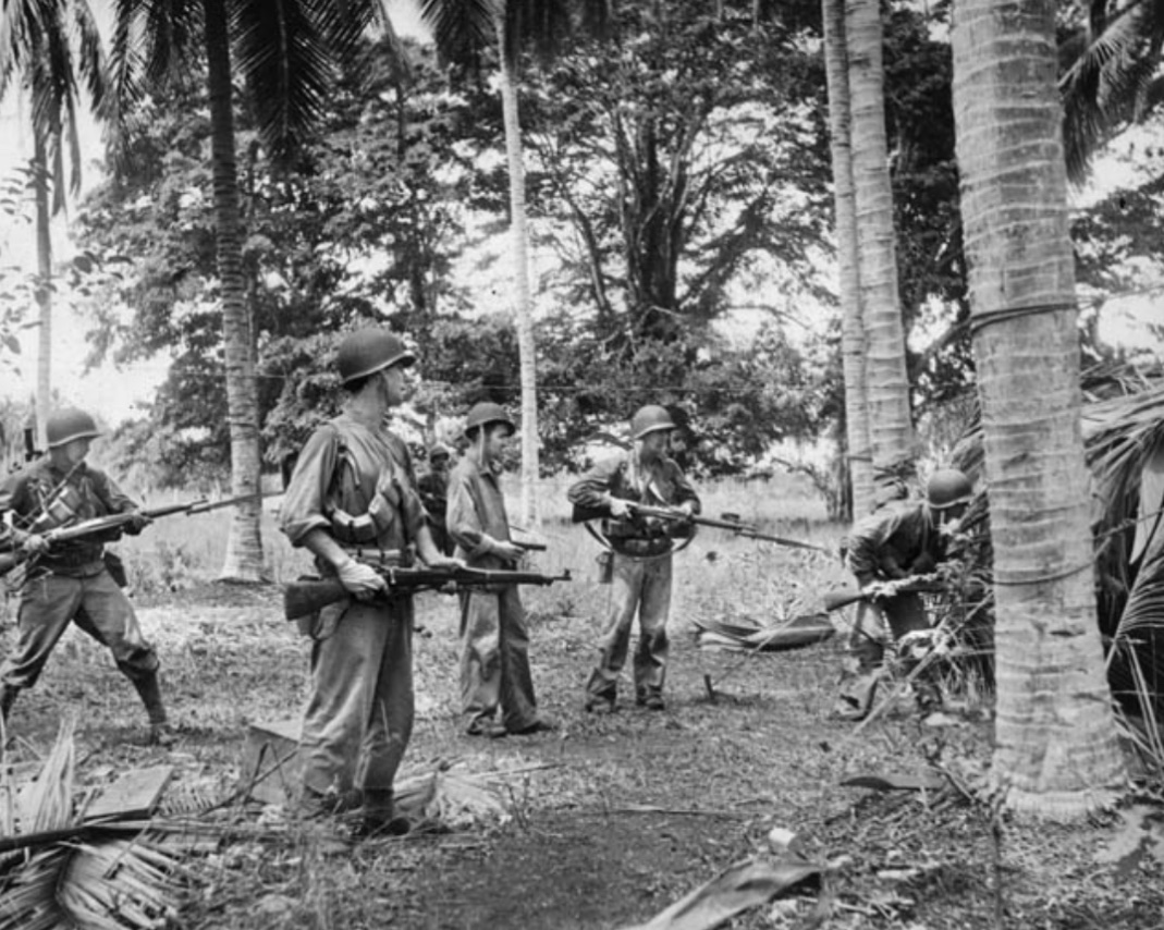 In August of 1942, Marines of the 1st Marine Division search for enemy stragglers in a palm grove on Guadalcanal. 🪖
