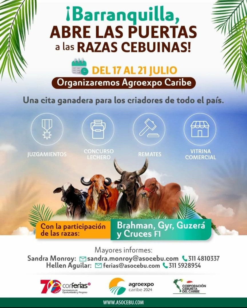 Agroexpo Caribe será organizada por Asocebú con el apoyo de la Corporación Cebuista del Caribe . Un evento donde participarán grandes ganaderías de todo el país, se llevarán acabo el @Fedegan @jflafaurie @CorferiasCaribe #OrgullosamentesGanaderos