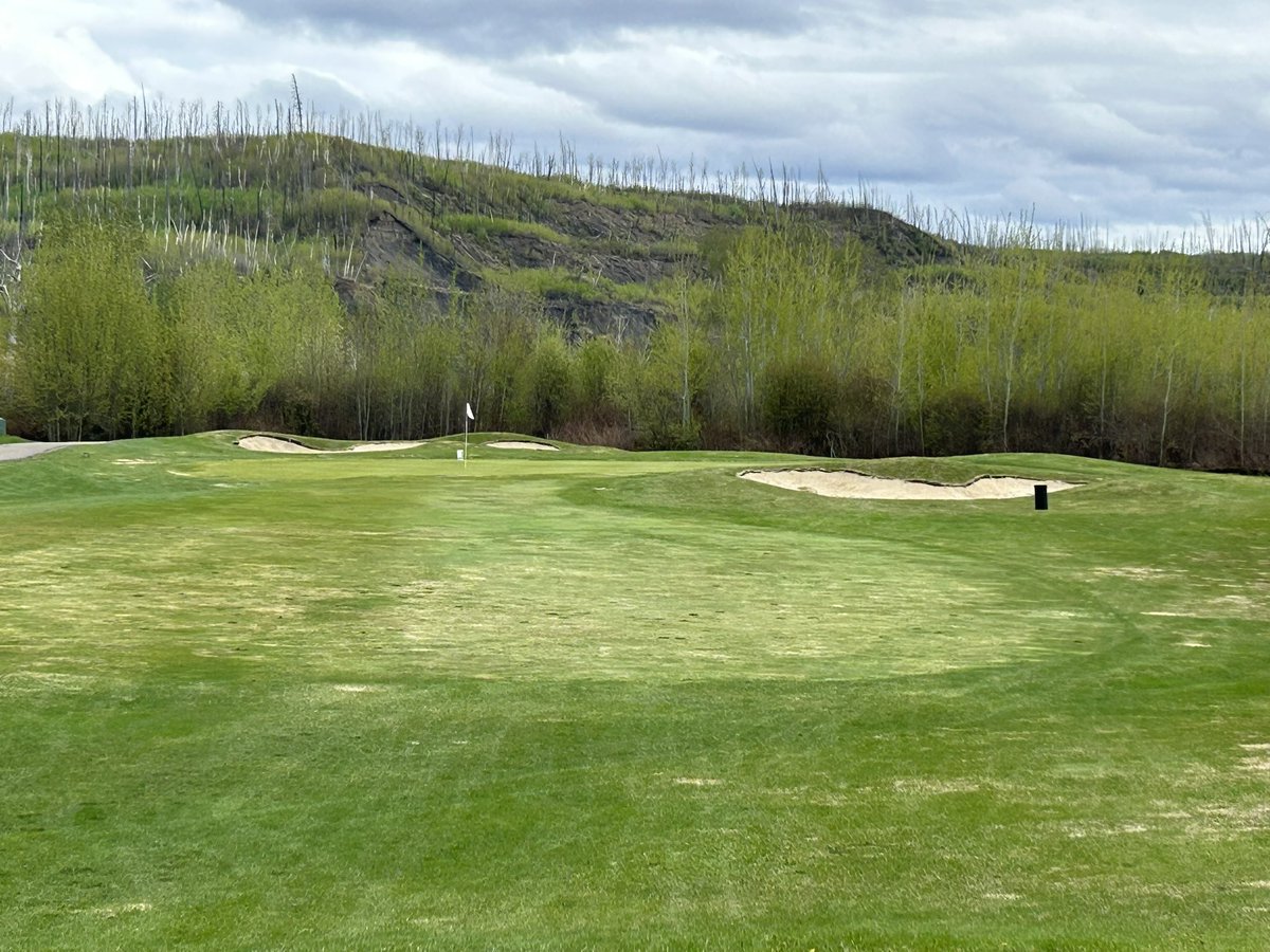 bohnysty's tweet image. Bunker renovation continues at FMGC and a few photos of last years completed work.  @JeffHacior @OCGolfDesign @PaulCrough