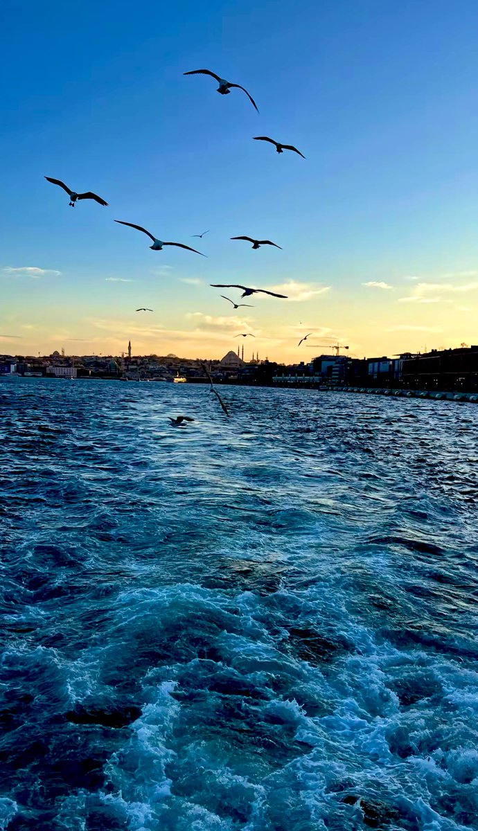 hsblkder's tweet photo. .

Kalbimin derinliklerinde bir şehirsiN 

. https://t.co/m4wY8erUCl