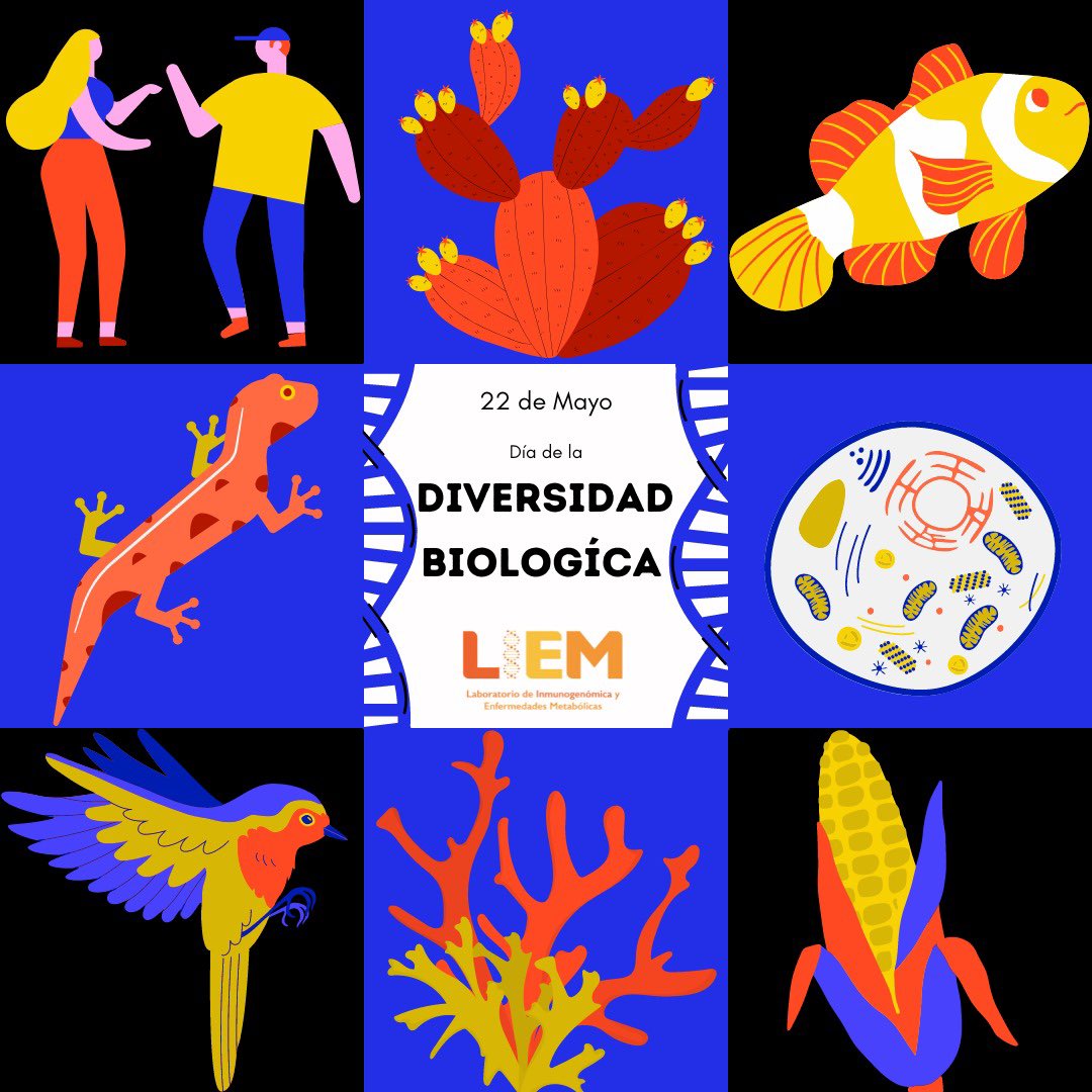 LiemInmegenLab's tweet image. ¡Hoy celebramos el día de la DiversidadBiológica! 🌍✨ 

La genética es clave para la biodiversidad, ya que cada especie y cada individuo aportan una combinación única de genes que fortalecen nuestros ecosistemas. 🧬

#DíaDeLaDiversidadBiológica #Genética #Biodiversidad