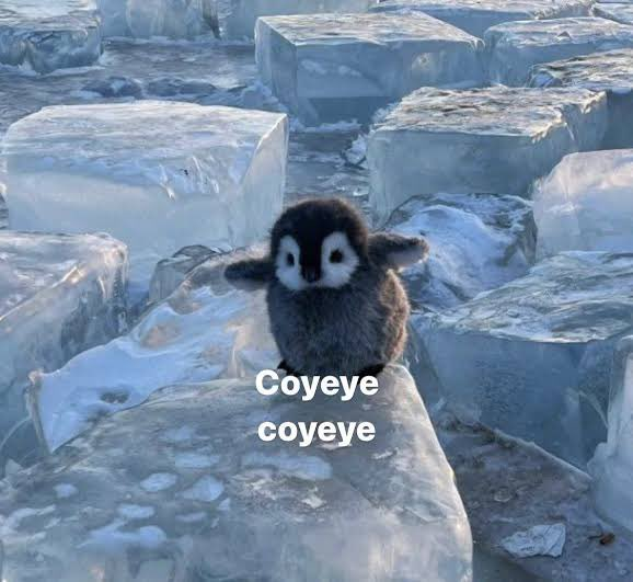 Nadie: ...
Jorge Álvarez Máynez: