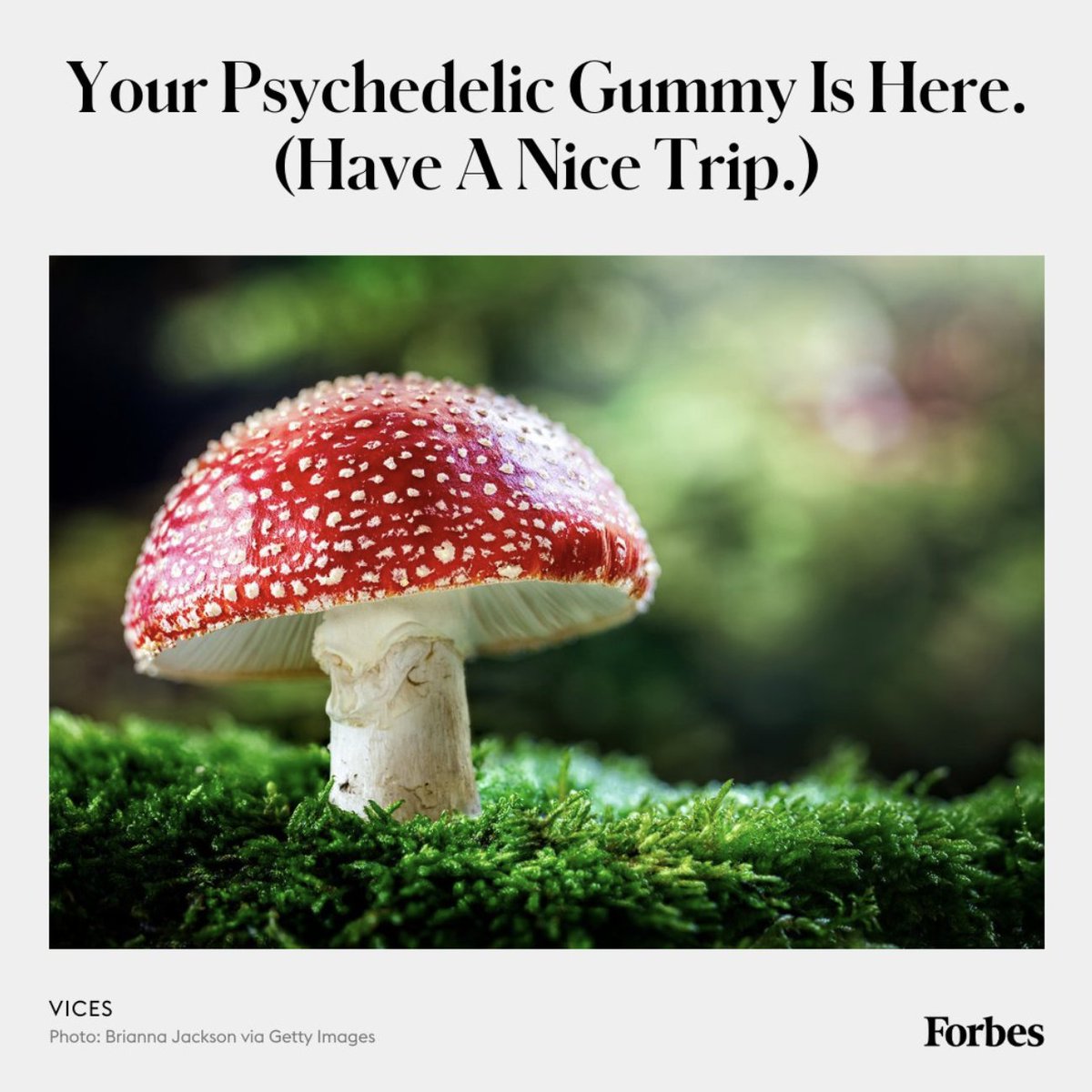 Magic mushroom edibles made with Amanita muscaria are on the rise thanks to a legal gray area. Meet the entrepreneurs bringing hallucinogenic treats to a smoke shop—or mailbox—near you. on.forbes.com/6010dSM9r