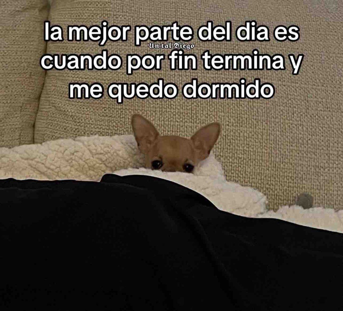 😴😴