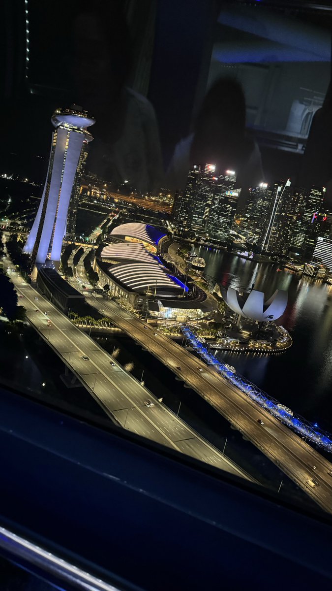 View from the Singapore Flyer ✨