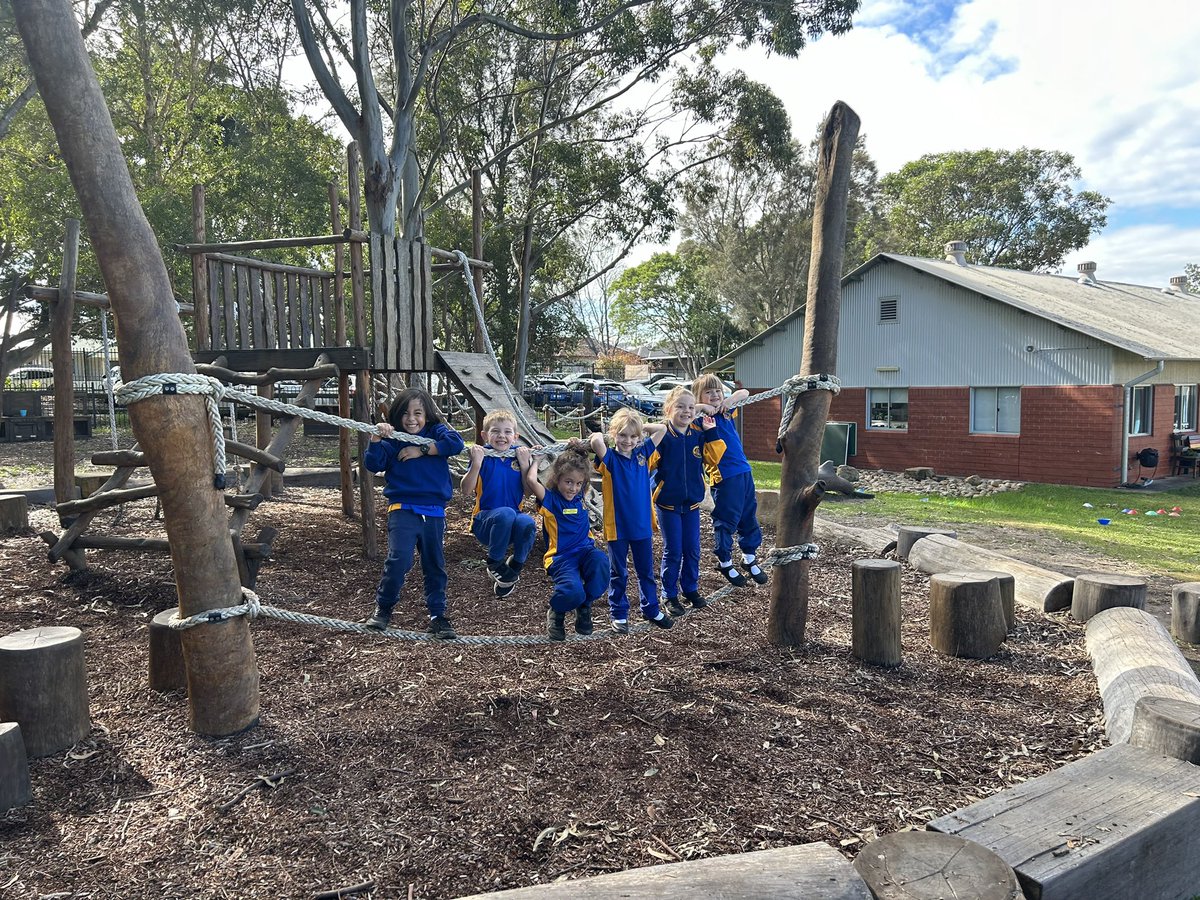 Luke Norman tweet media