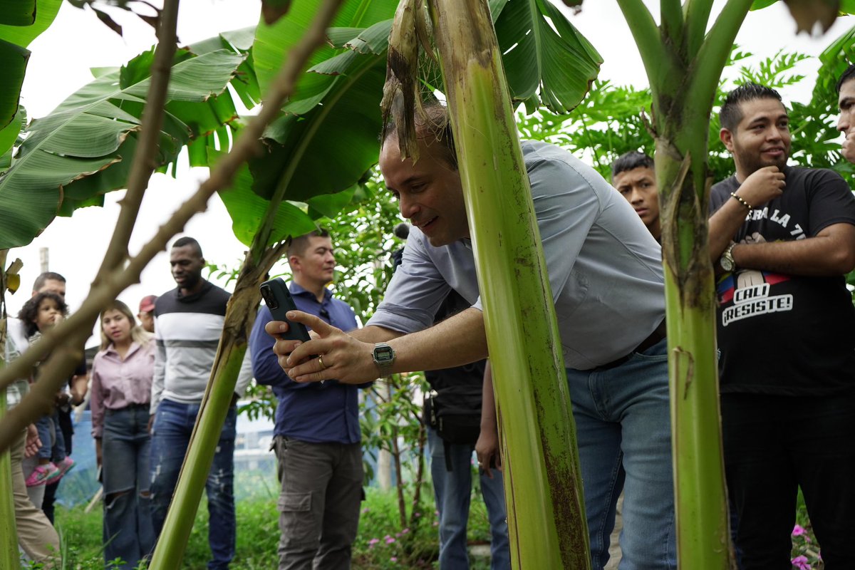 La protección del medio ambiente es esencial para construir comunidades resilientes y pacíficas. 🌱 En la Secretaría de Paz y Cultura Ciudadana, promovemos acciones sostenibles con y para las poblaciones vulnerables. 🤝 #PazConLaNaturaleza