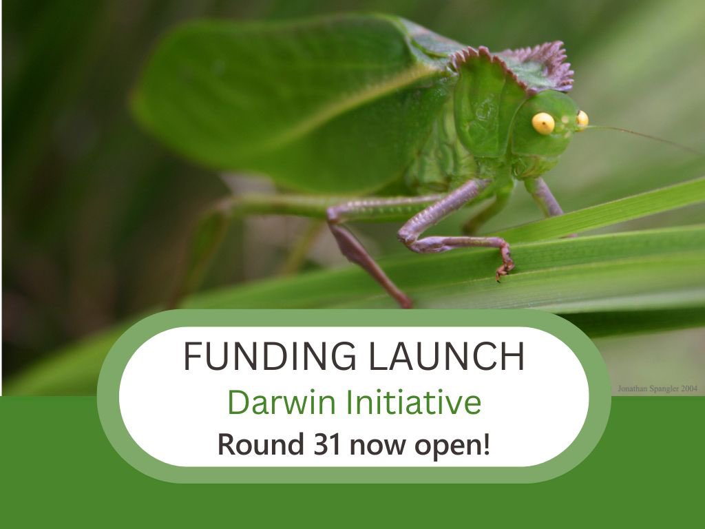 Anunciamos la apertura de una nueva ronda de financiamiento mediante el #DarwinInitiative 🐆🌿🐬

Esta iniciativa es una de los fondos emblemáticos del Gobierno 🇬🇧 y apoya actividades de conservación de la biodiversidad en países elegibles.

Info en: ow.ly/m0CL50RRSmn