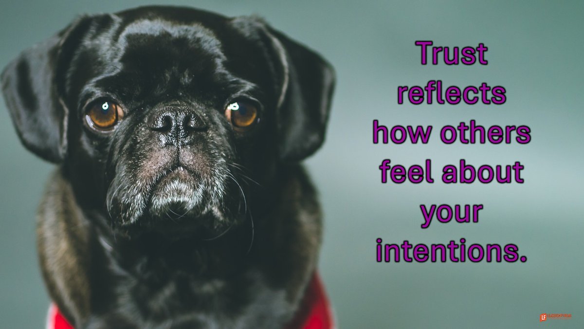 4 Secrets of Trust Building: When people don't trust you, the things you do for them seem insincere. To build trust: Show that you care. Demonstrate competence. Practice humility. Be transparent. ow.ly/qOty50RRSt8 #LeadershipFreak #DanRockwell #BuildTrust #Trustworthy