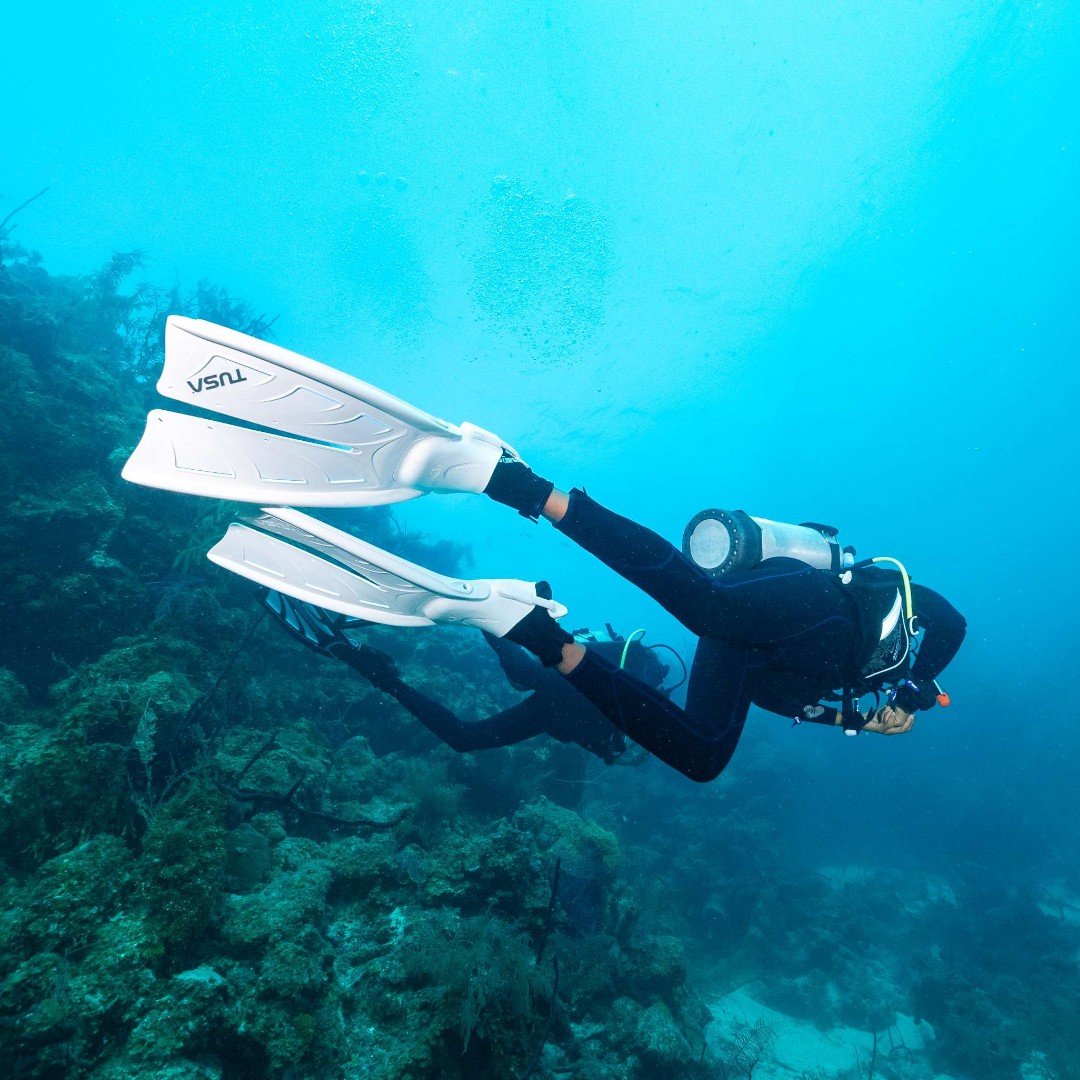 TUSADiving's tweet photo. We're all about the all-white Hyflex Zoom 🔥
#TUSAdiving #scubadiving #splitfin #TUSAliving #FindYourOcean https://t.co/X6wUvI5J0A