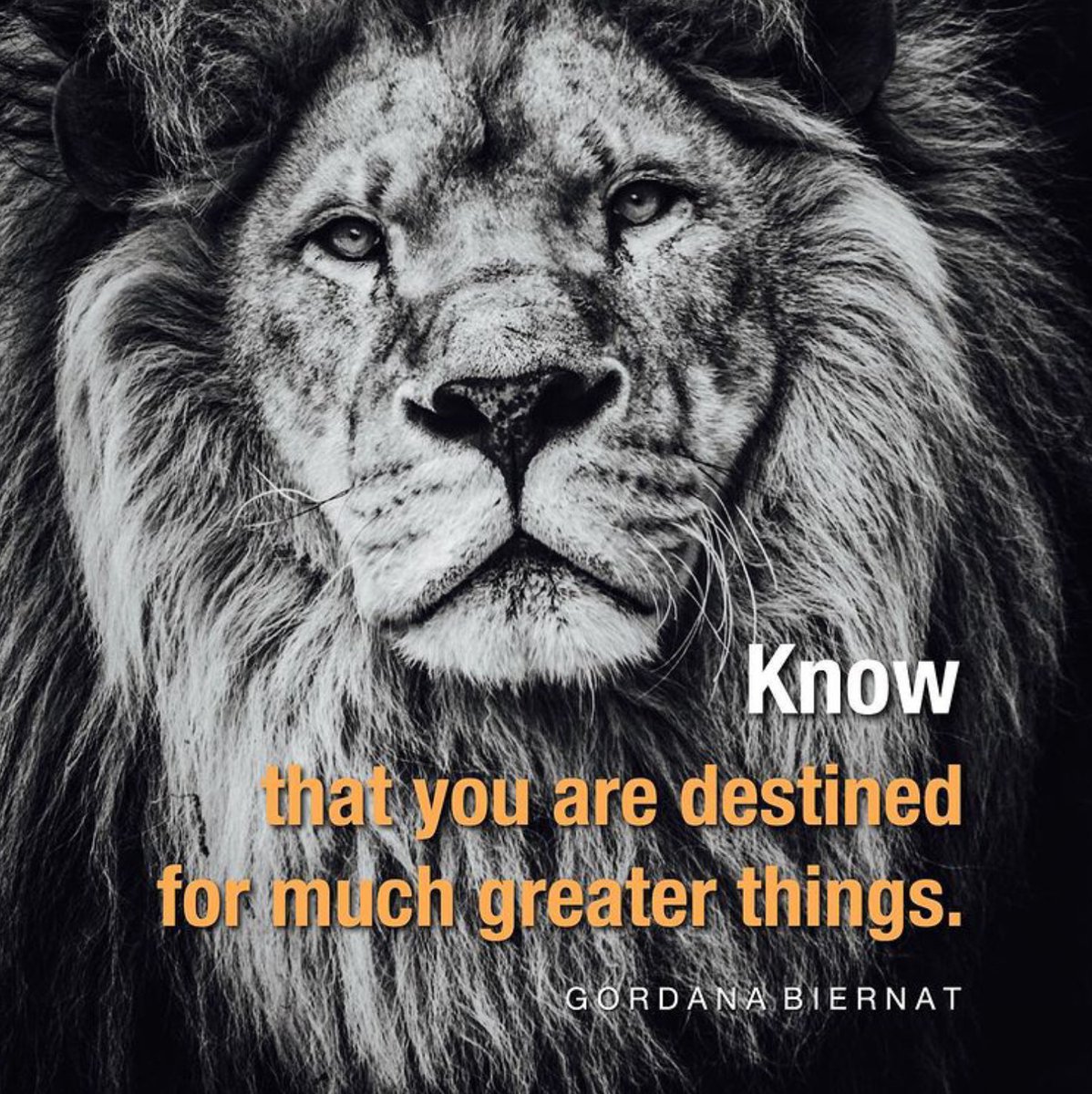 You are perfect as you are. Stop 'fixing' yourself. Just figure out what you love to do and concentrate on doing more of that. When you focus on your strengths, the rest magically takes care of itself because... ...where attention goes, energy flows. ♥️ #ThursdayThoughts