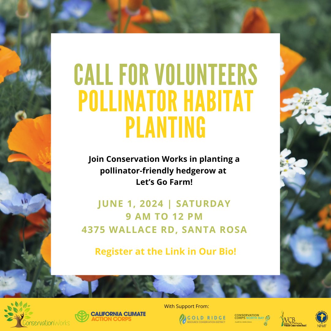 Join Conservation Works next Saturday, June 1st, in planting a pollinator-friendly hedgerow at Let’s Go Farm! We will be planting native species with year round blooms in order to support our beloved pollinator friends!